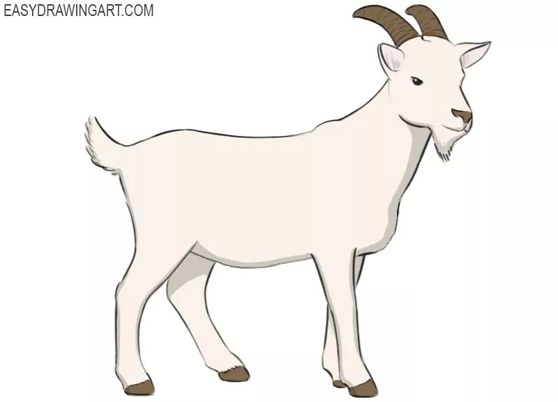 how to draw goat drawing easy step by step@Kids Drawing Talent - YouTube
