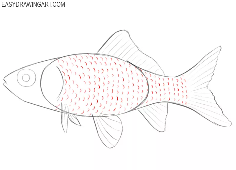 how to draw a goldfish in steps 
