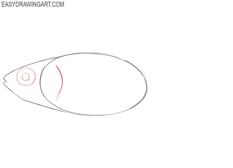 how to draw a goldfish cartoon