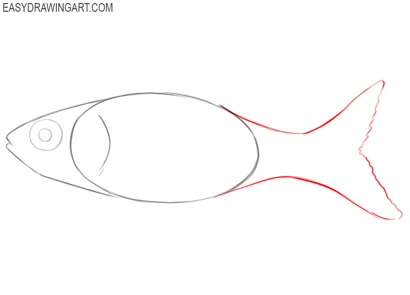 how to draw a goldfish easy
