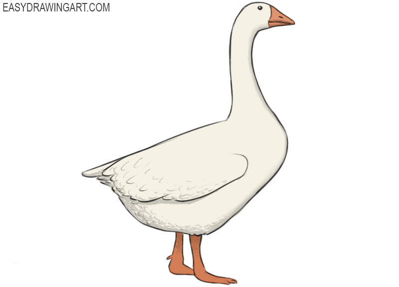 How to Draw a Goose