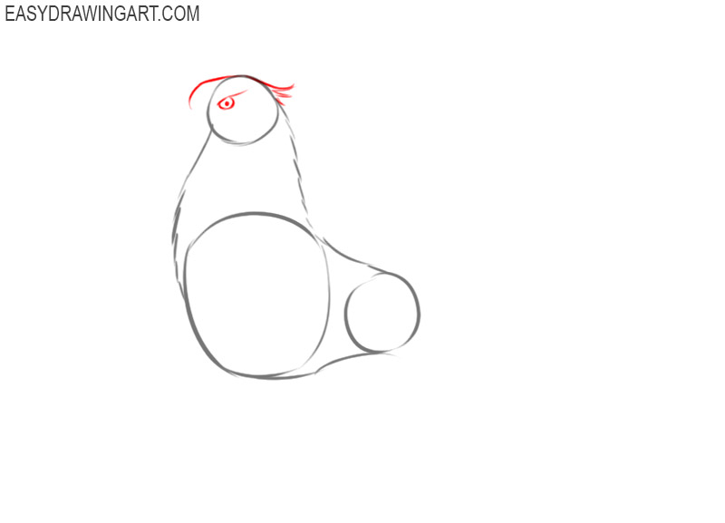 how to draw a griffin easy step by step