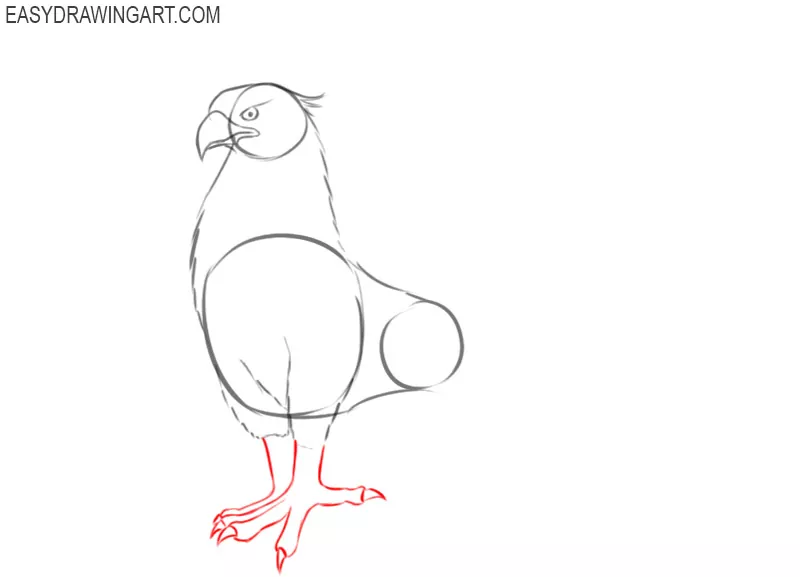 how to draw a griffin mythical creature