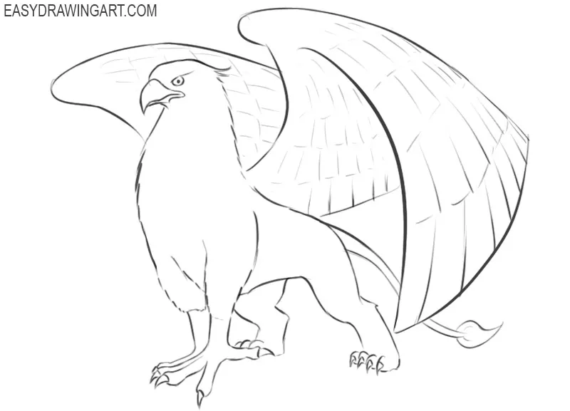 griffin drawing instructions