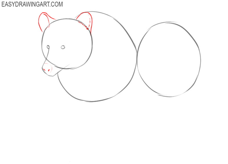 how to draw a grizzly bear step by step