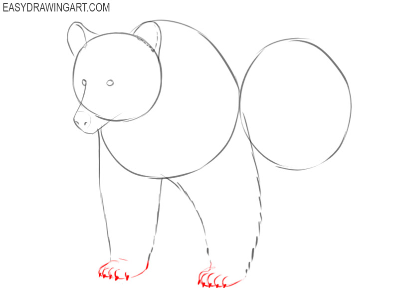 how to draw a grizzly bear in easy steps
