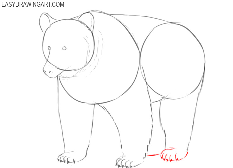 how to easily draw a grizzly bear 