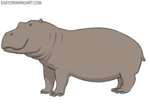 How to draw a hippopotamus