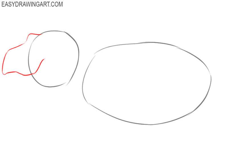 how to draw a hippopotamus easy