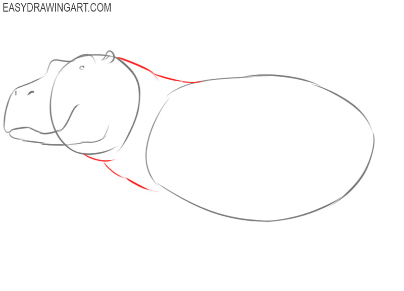 how to draw a cute hippopotamus 