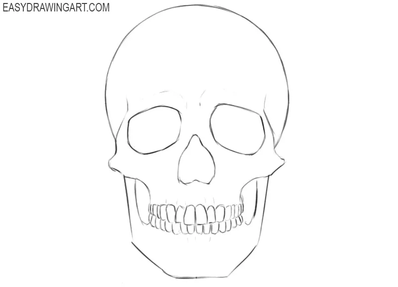 How to Draw a Skull  Easy Drawing Art