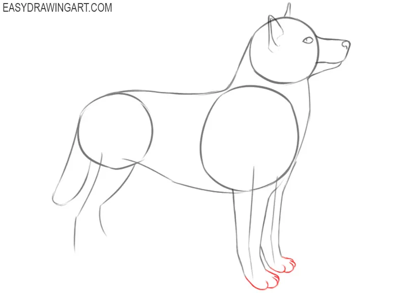 how to draw a husky cartoon