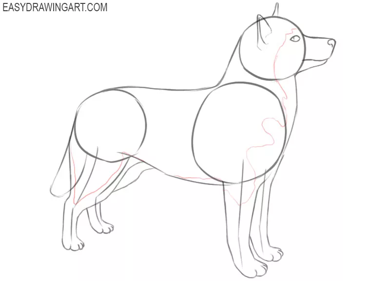 how to draw a husky easy