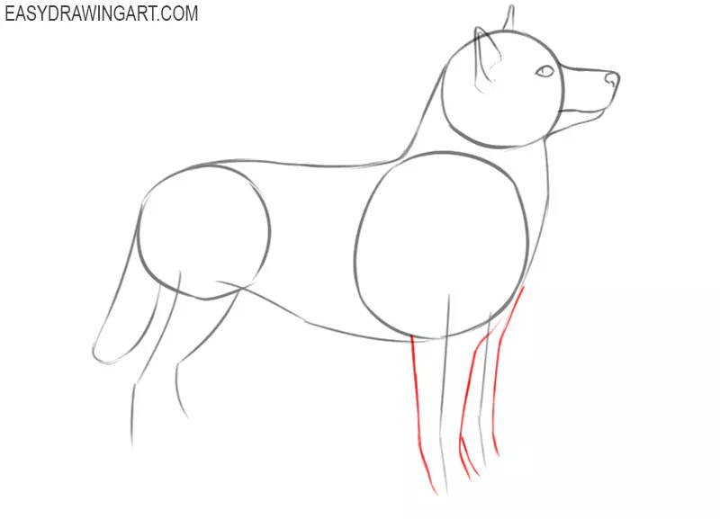 how to draw a husky puppy easy