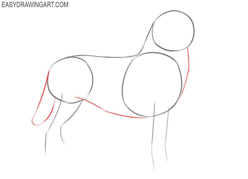 how to draw a husky step by step