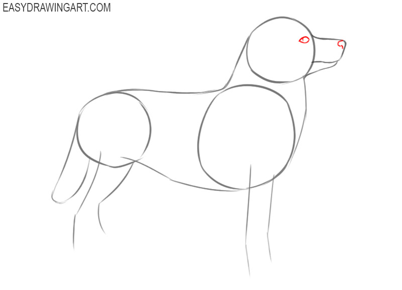 how to draw a cute and easy husky