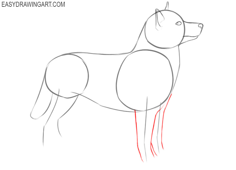how to draw a husky puppy easy