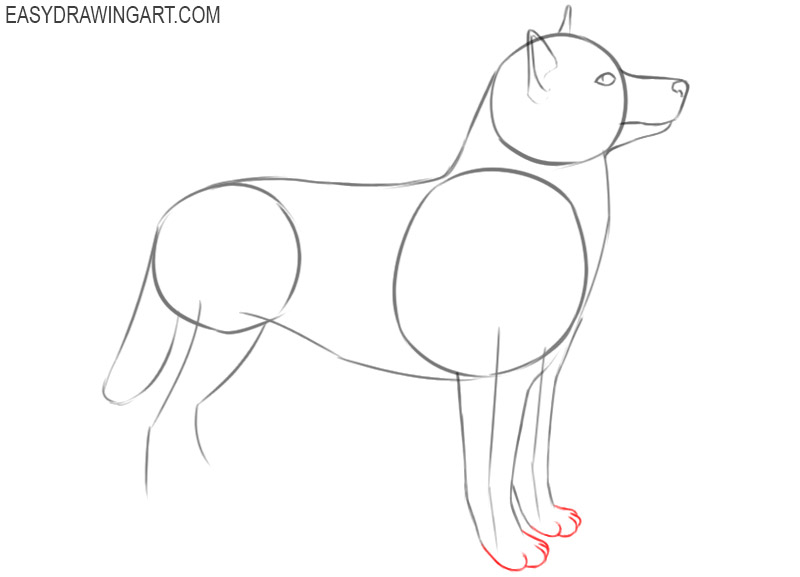 how to draw a husky cartoon