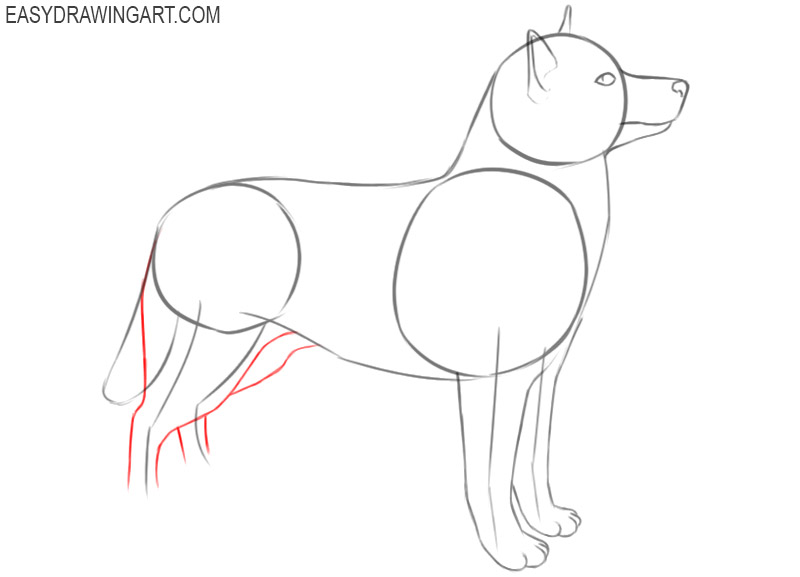 how to draw a cartoon husky puppy step by step