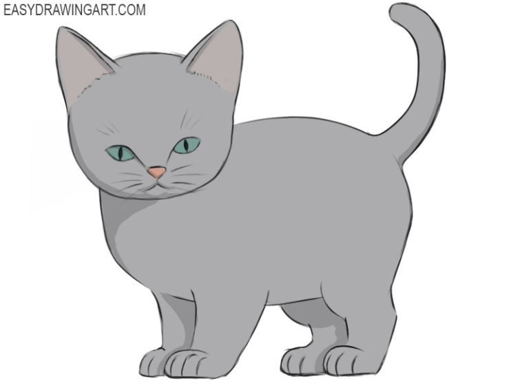 How to draw a kitten
