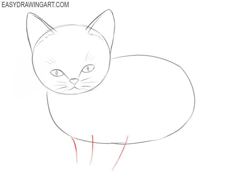 how to draw a kitten easy step by step