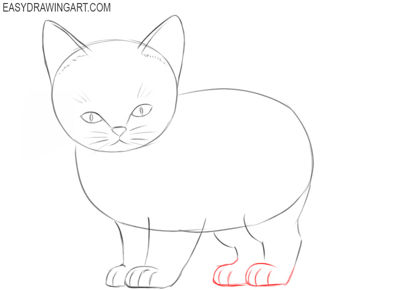 how to draw a kitten by pencil