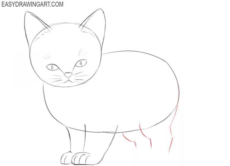 how to draw a kitten step by step for beginners 