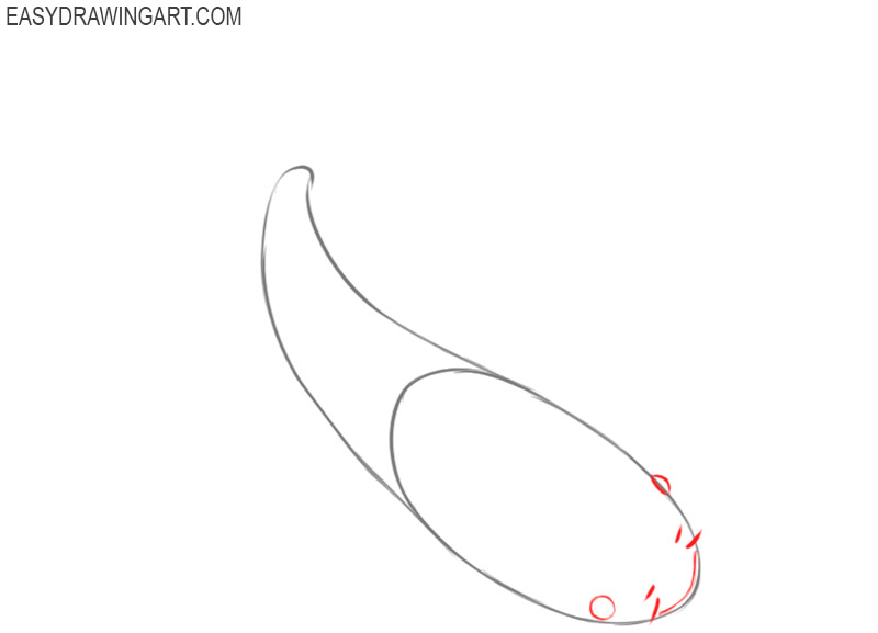 how to draw a koi fish step by step 