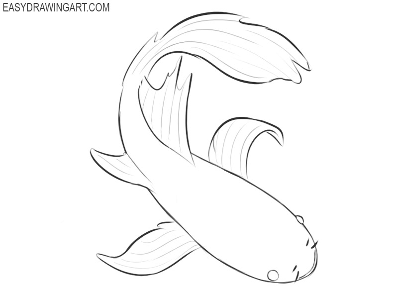 how to draw beautiful koi fish 