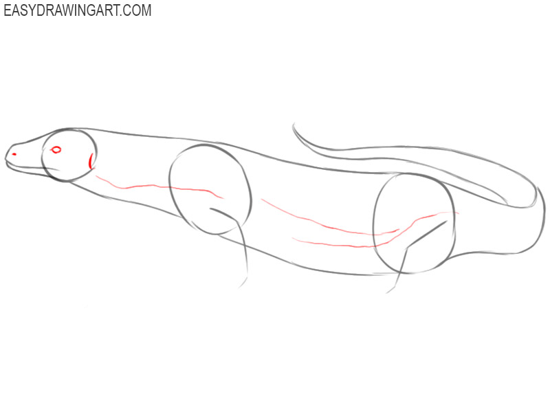 how to draw a komodo dragon step by step easy