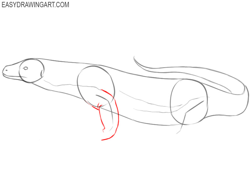 easy way to draw a komodo dragon