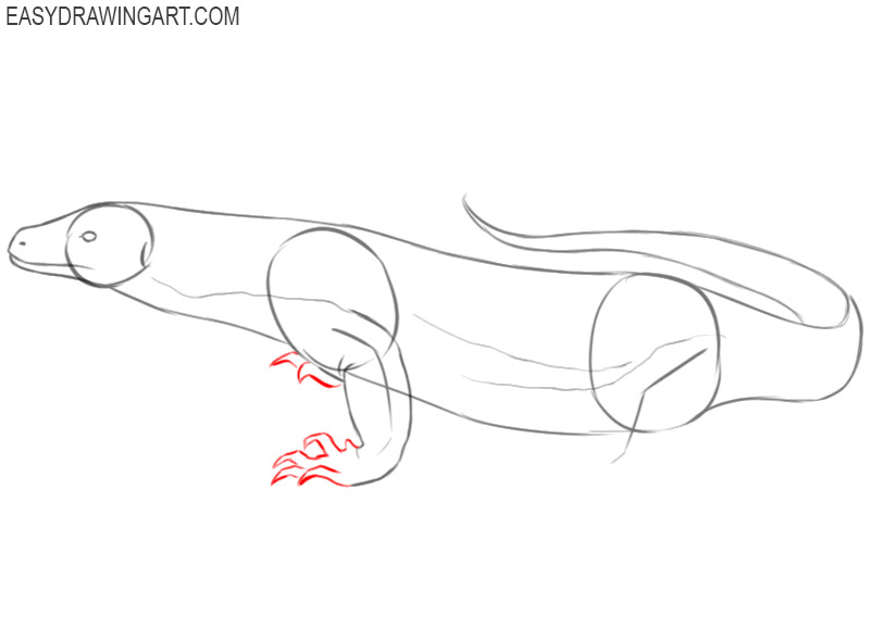 komodo dragon drawing easy