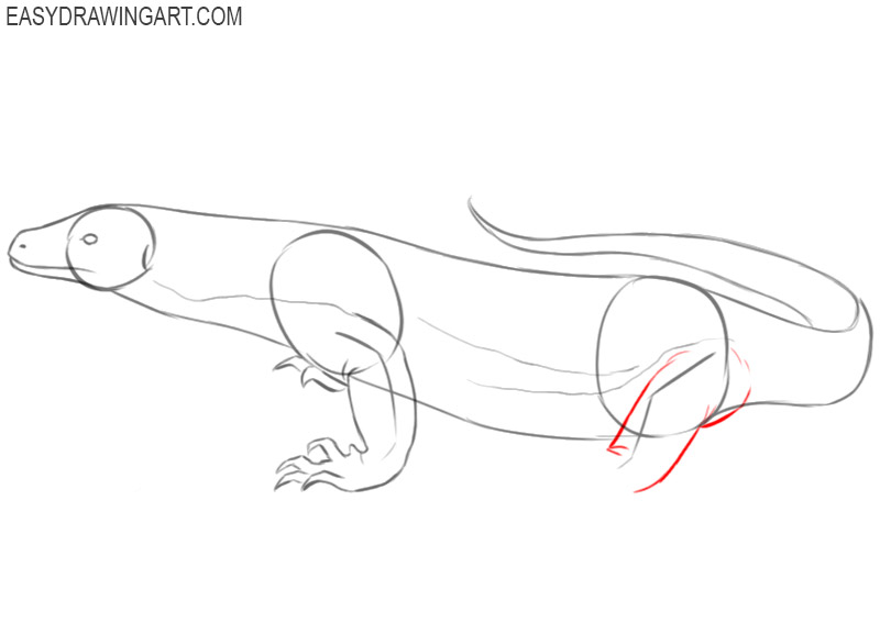 komodo dragon drawing step by step