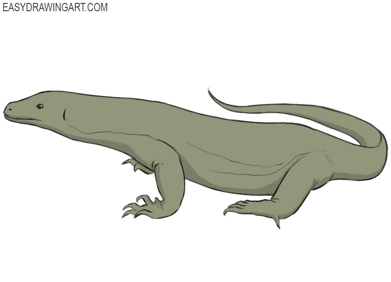 How to Draw a Komodo Dragon - Easy Drawing Art