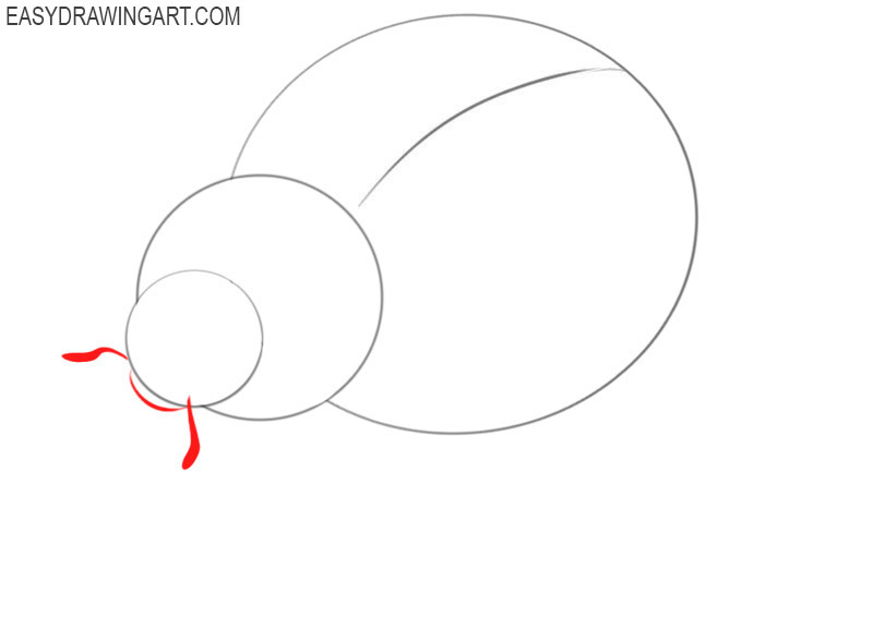 How to draw an insect easy