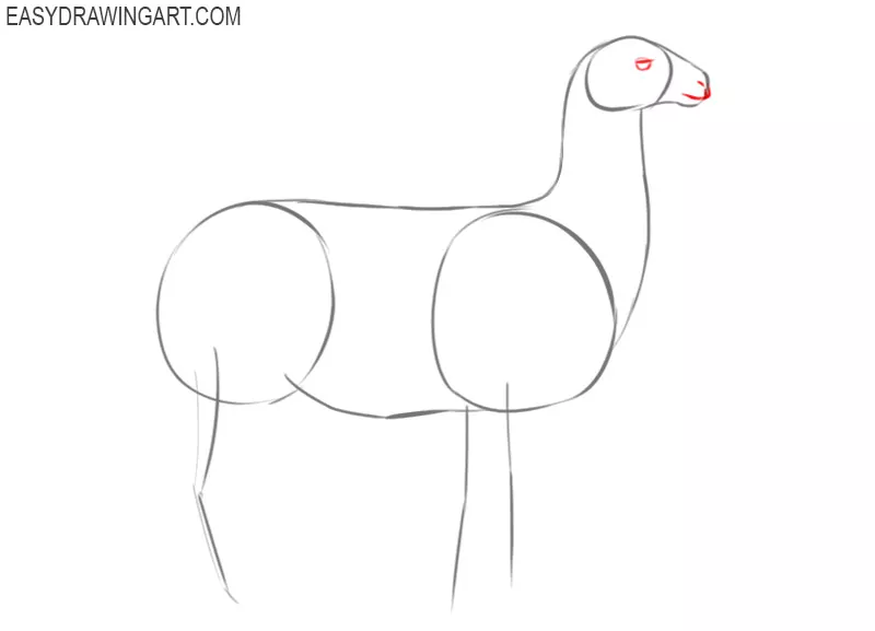 how to draw a llama cute