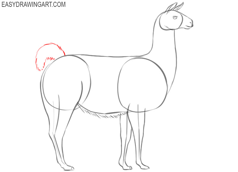 how to draw a cartoon llama easy