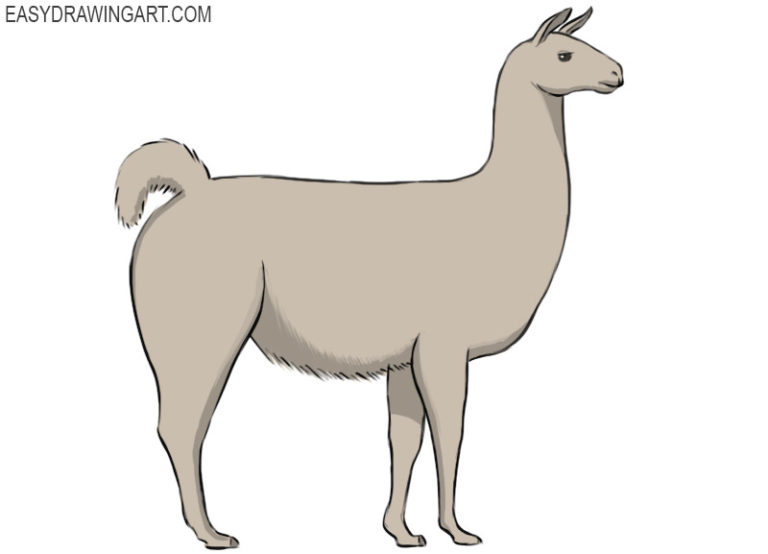 How to draw a llama