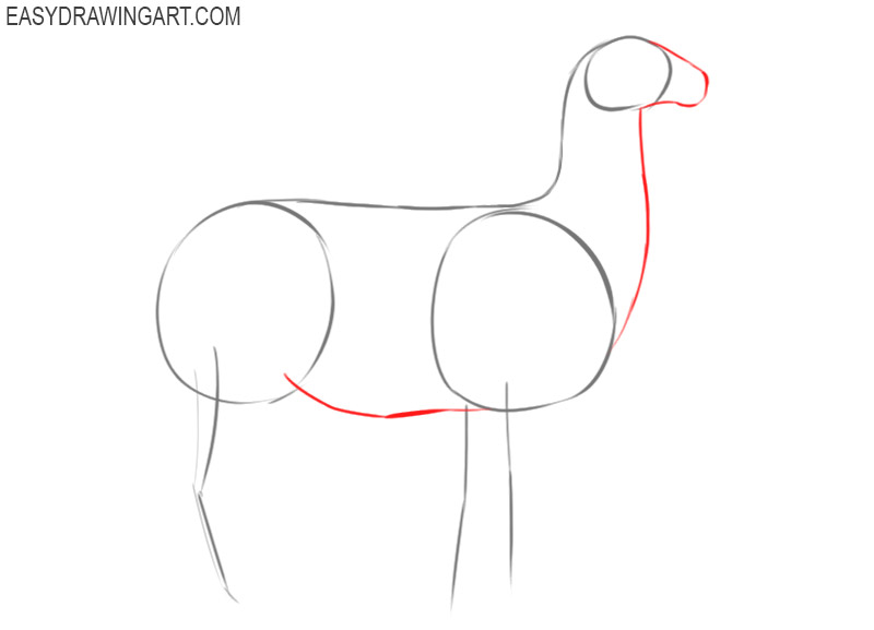 how to draw a llama easy step by step