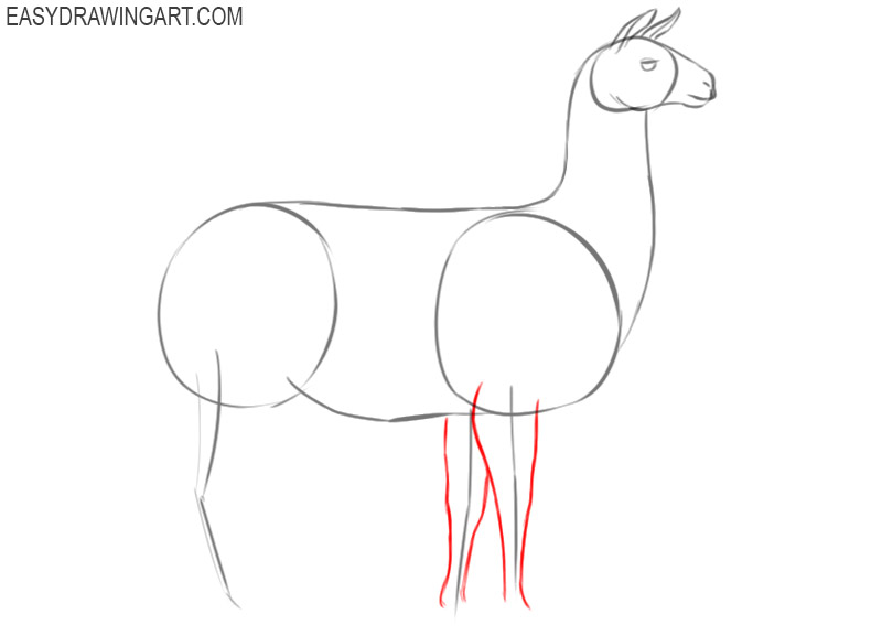 how to draw a cute llama