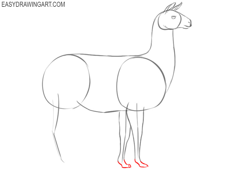 how to draw an easy llama