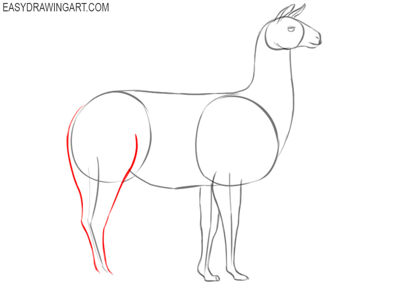how to draw a llama step by step easy