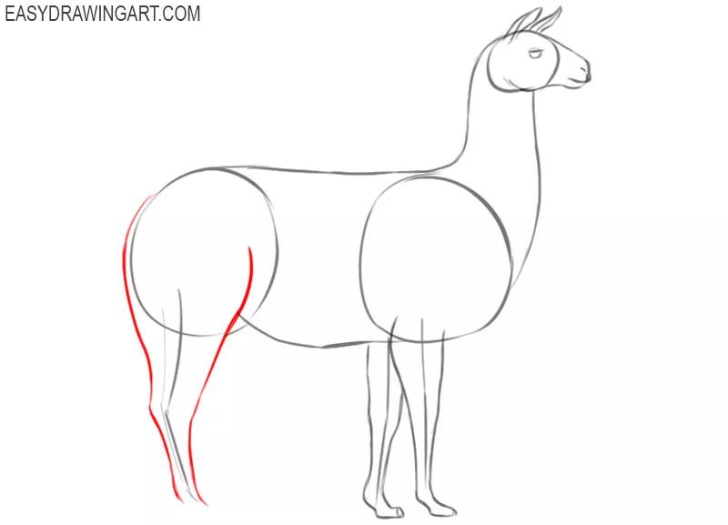 how to draw a llama step by step easy