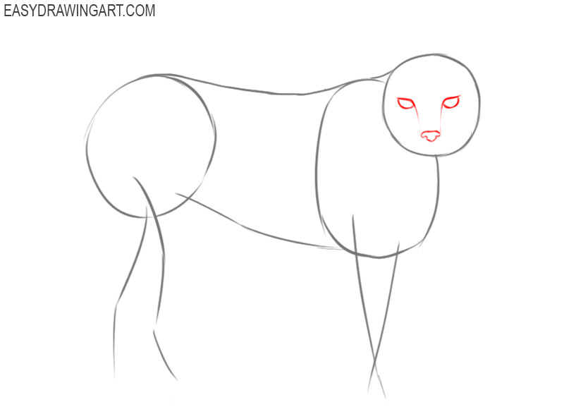 how to draw an easy lynx