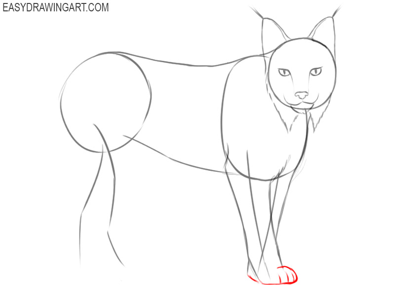 how to draw a cute cartoon lynx