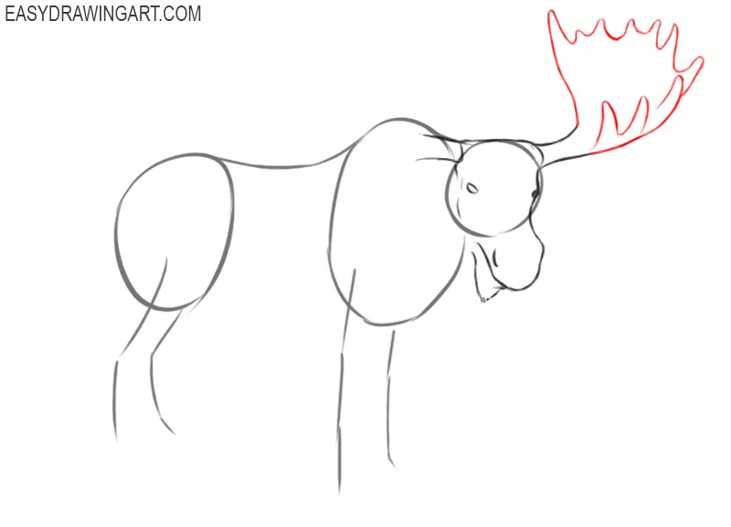 how to draw a moose easy step by step