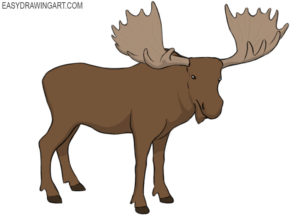 How to draw a moose