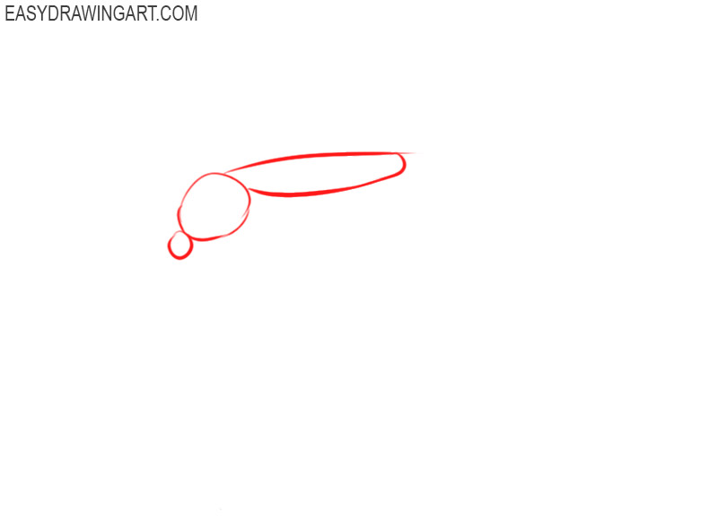 how to draw a mosquito easy