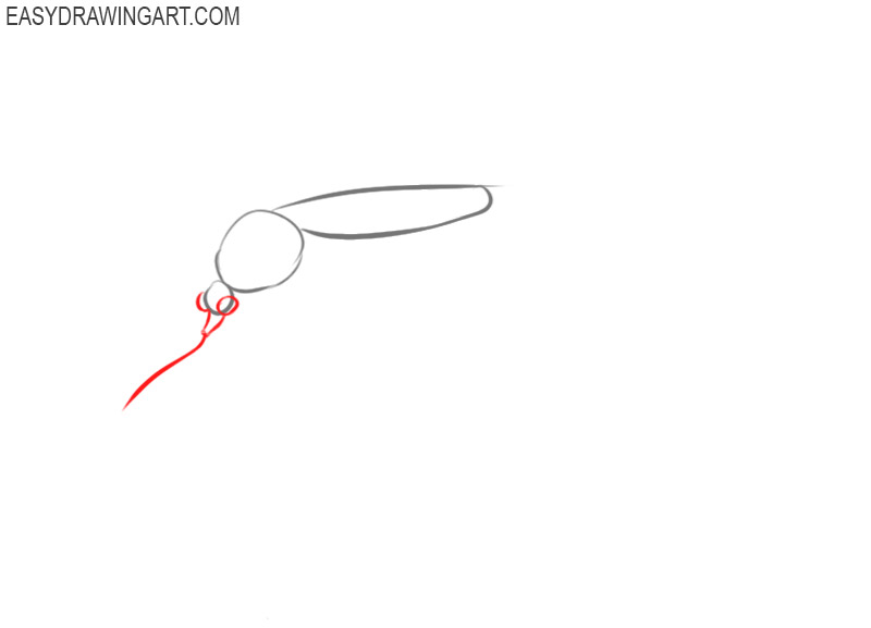 how to draw a mosquito step by step easy