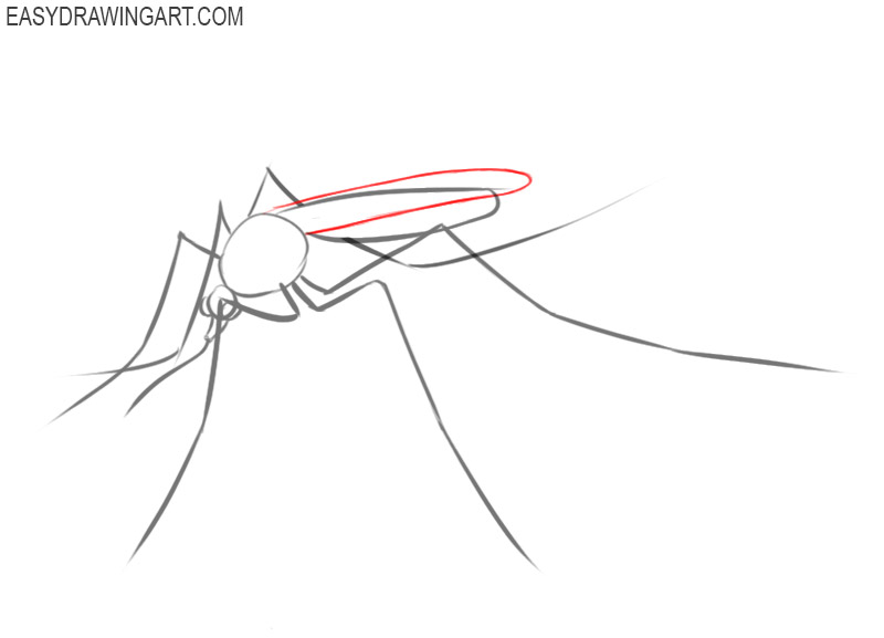 easy way to draw a mosquito